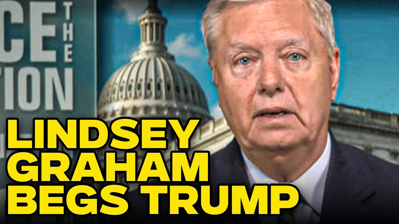 Lindsey Graham Begs Trump To Stop Attacking Harris For Her Race