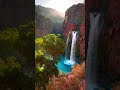 BeautyVibe | Nature view | Summer rain, Rain weather | Nature 4k videos | short video