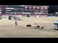Sydney Royal Easter Show Night 2025 Feat Horses And Cows