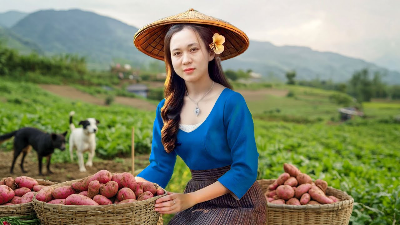 Woman Living Alone in Nature: Simple Farm Life – Harvesting, Cooking ...