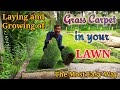 Growing and Laying of Grass Carpet in a Lawn