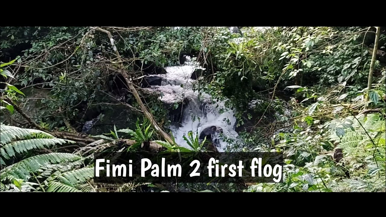 CINEMATIC VIDEO FIMI PALM 2•WATERFALL•FOREST