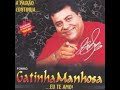 Gatinha Manhosa   Vol  03    CD Eu Te Amo    Forró das antigas