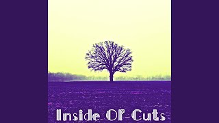 Inside Of Cuts Cuts Inside