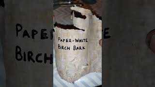 The Tree that Makes Paper w/o Dying.