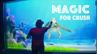 Turtle Talk With Crush - Magic For Crush - Magician At Walt Disney World