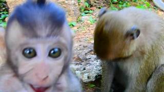 Beautiful girl Maci  happy fun play on ground / Monkey Post screenshot 5