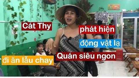 DIVA Cát Thy dẫn Simlet đi ăn chay gần nhà và phát hiện động vật lạ hết hồn