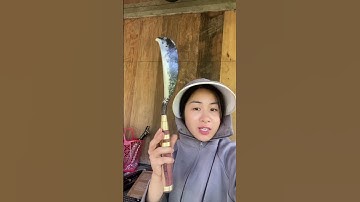 Mời các bác lên đơn #dao_phuc_sen