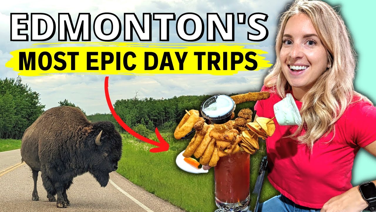 Unique Day Trips from Edmonton, Alberta: Bison, Big Drinks & Baby Animals!