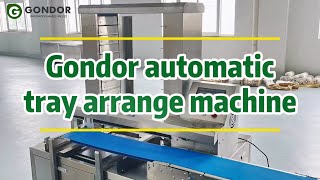 Maximize Output with Gondor's Automatic Tray Arranging Machine | Smart, Fast, Hygienic Solution