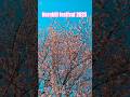 Hornbill festival 2025 l Naga heritage village l North East l #culture#traditional#festival