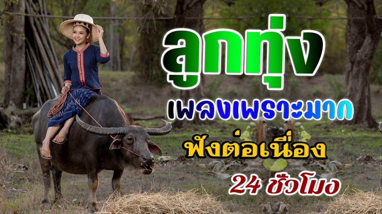 ลูกทุ่งเพลงเพราะมาก : ฟังต่อเนื่อง 24 ชั่วโมง ไม่มีโฆษณา