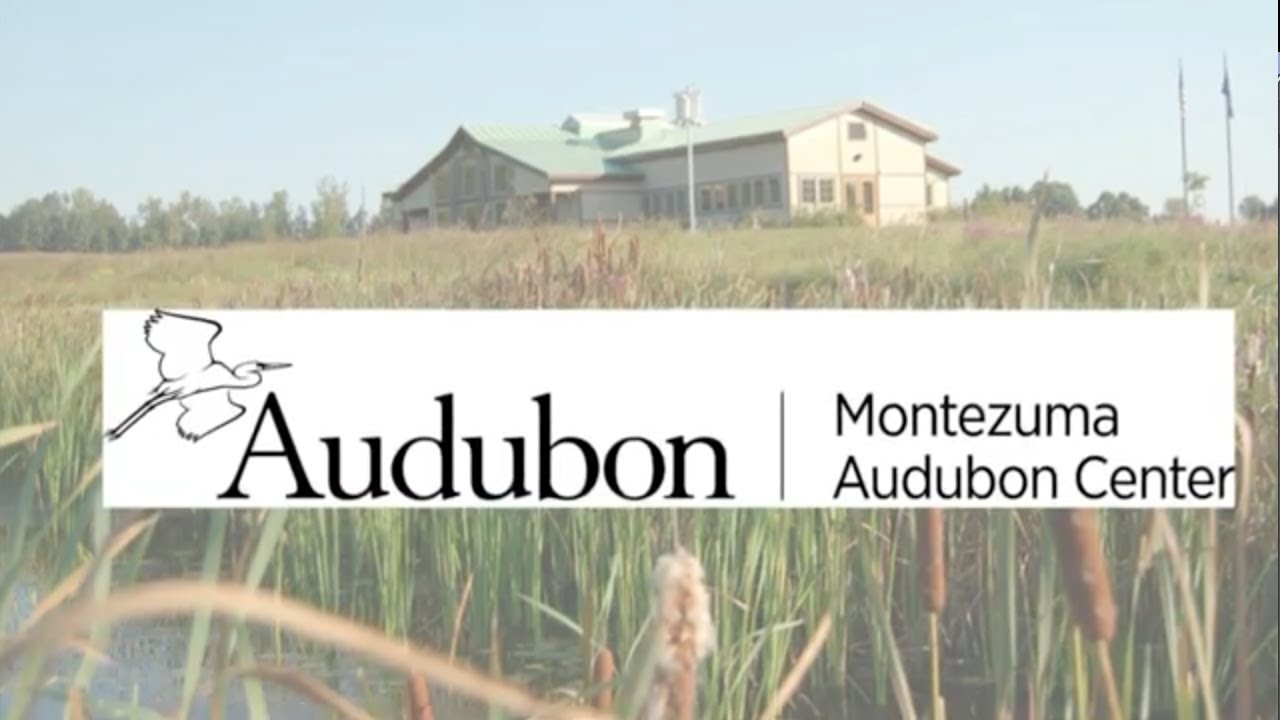 Montezuma Audubon Center Virtual Tour