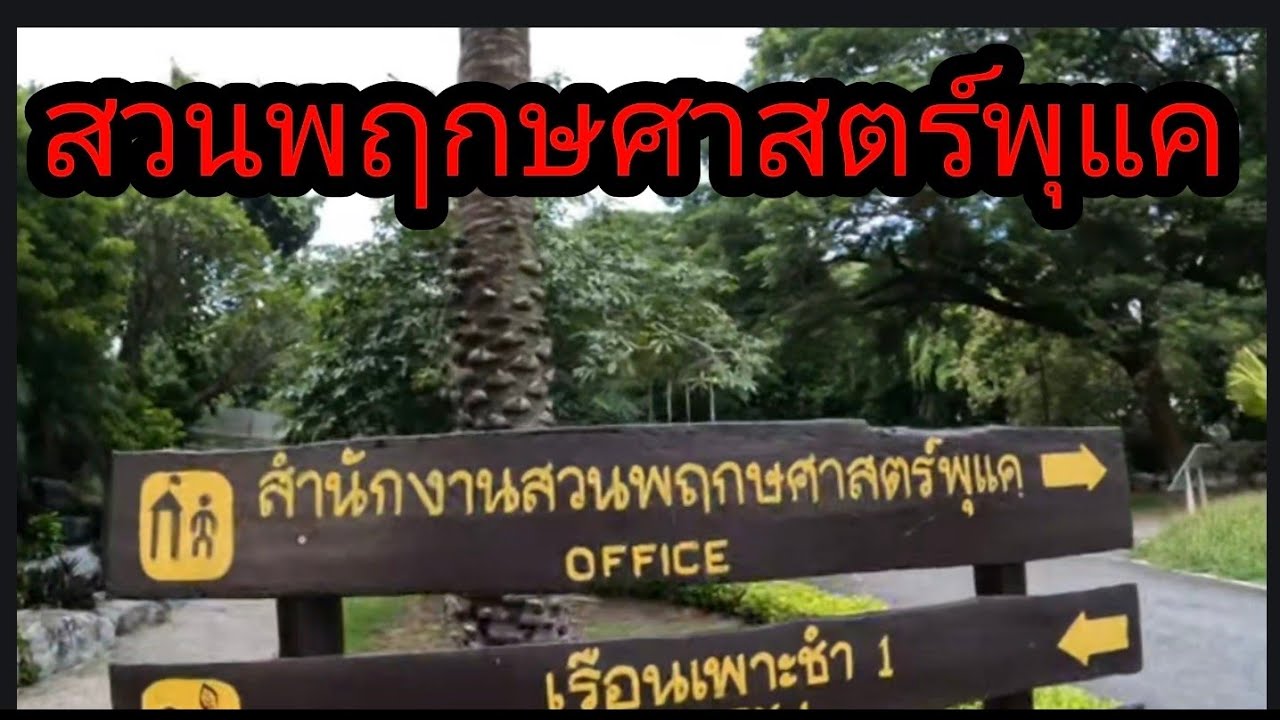 สวนพฤกษศาสตร์พุแคจังหวัดสระบุรี