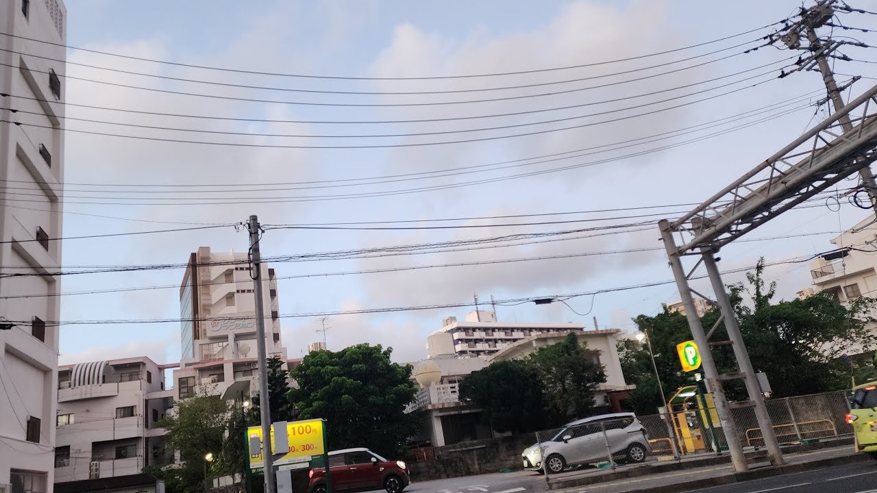 沖縄那覇ハブ酒呑み