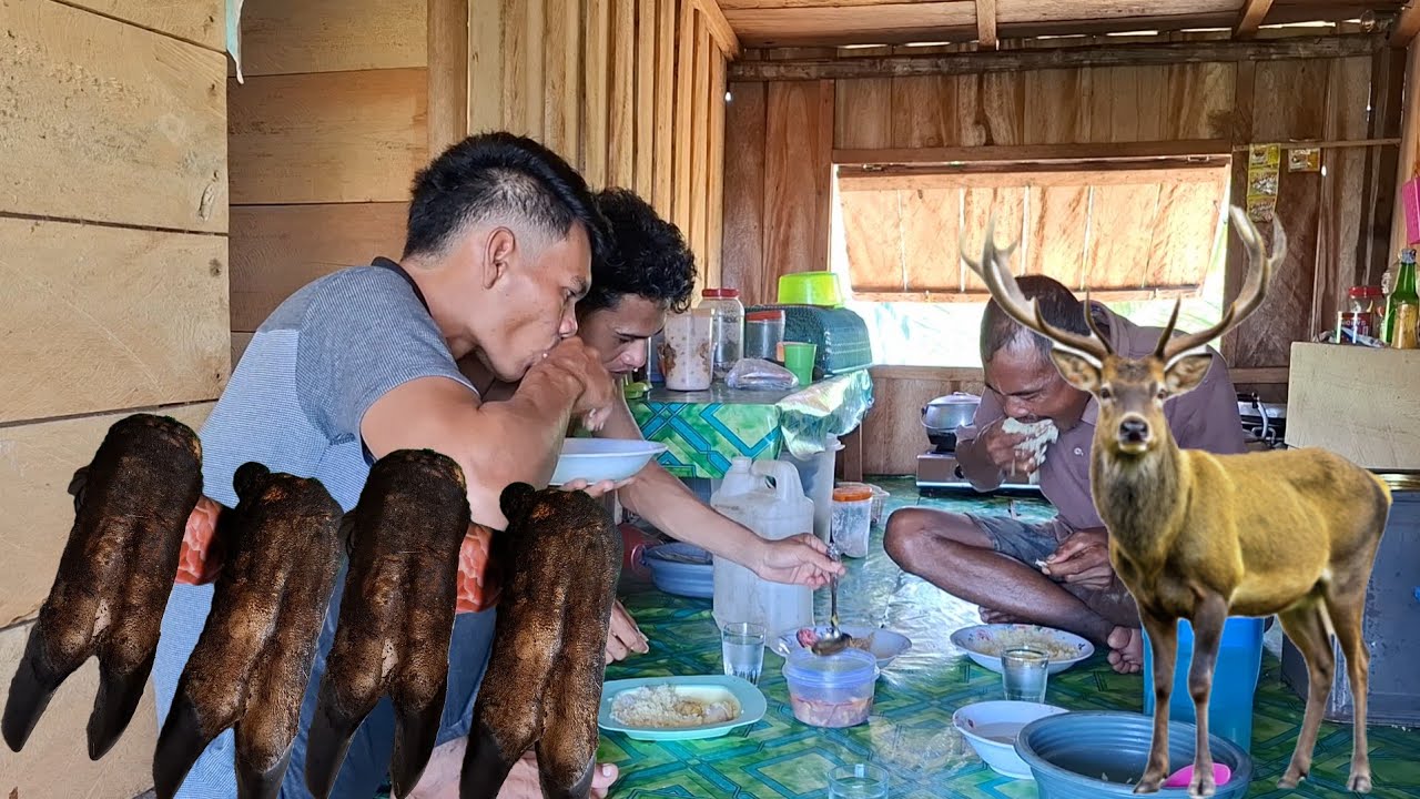 Paman berburu dapat rusa hutan liar