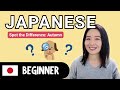 Spot the Difference (Autumn) | Complete Beginner Japanese Comprehensible Input
