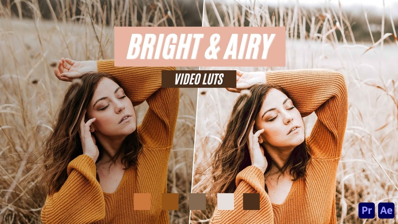 Bright & Airy Video LUT's for Premiere Pro & After Effects and FREE