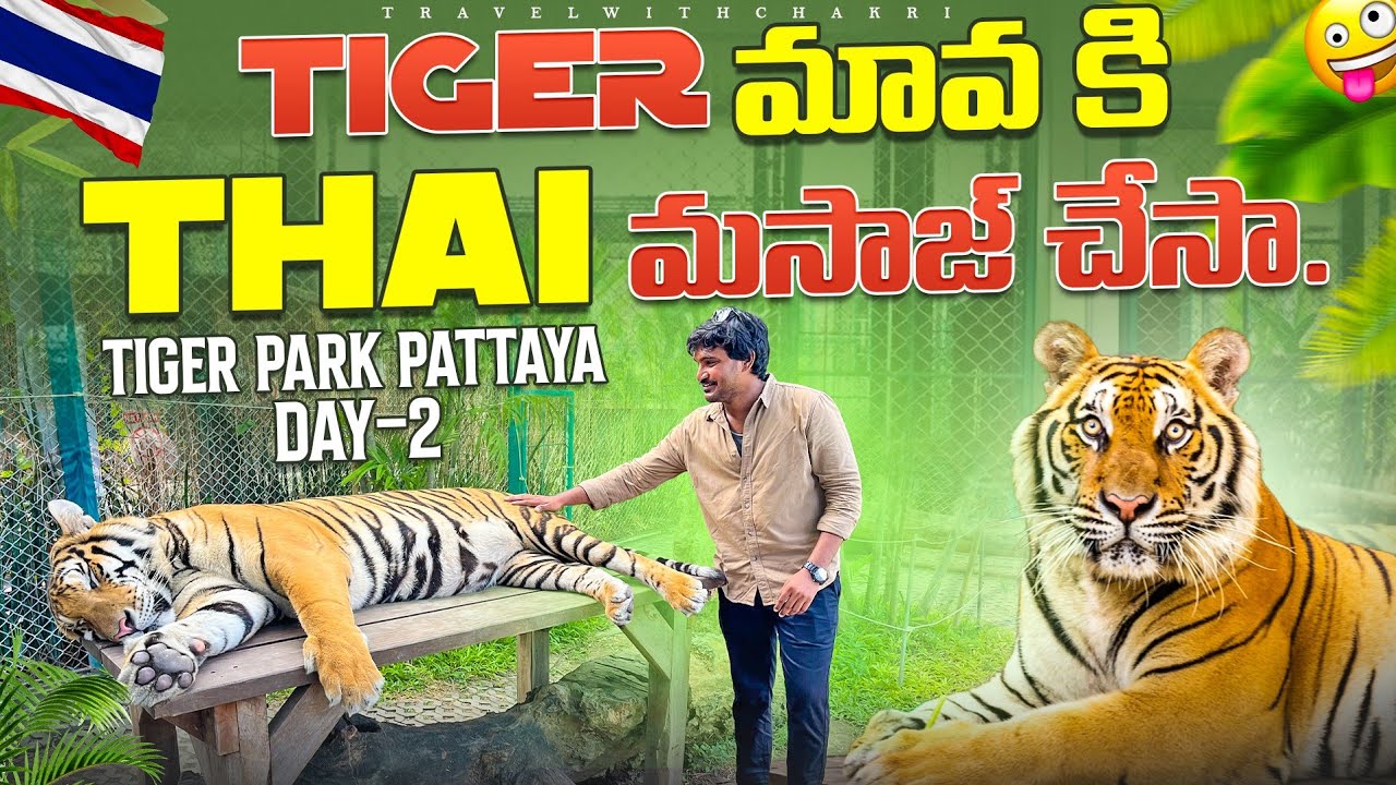 Fun in Tigerpark Pattaya || Thailand || Travelwithchakri || twc || chakriarya