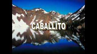 Caballito - Fusión Vallenata Al Estilo De Carlos Vives - Karaoke