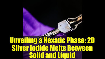 Unveiling a Hexatic Phase: 2D Silver Iodide Melts Between Solid and Liquid