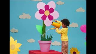 Why Do Plants Drink Water But Never Go To The Loo?, Preguntan Los Niños.