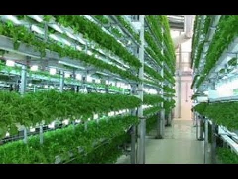 Video THIẾT BỊ ĐIỀU KHIỂN NHIỆT ĐỘ ĐỘ ẨM VÀ ÁNH SÁNG TỰ ĐỘNG - youtube