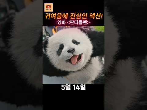 전설의 복귀! 성룡과 판다가 뭉쳤다 – 판다 플랜 예고편                                 #성룡 #판다 #액션영화