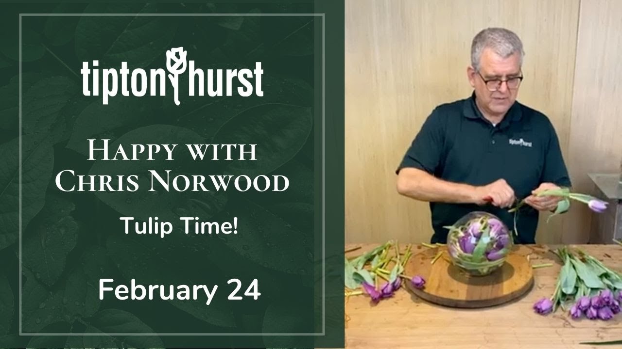 Happy with Chris Norwood: Tulip Time!