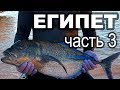 Египет - Красное море. Подводная охота. Часть 3.