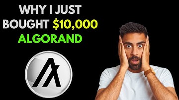 Why I just Bought $10,000 Algorand.