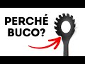 Fatti Casuali Che Ti Faranno Dire "Cosa?!"