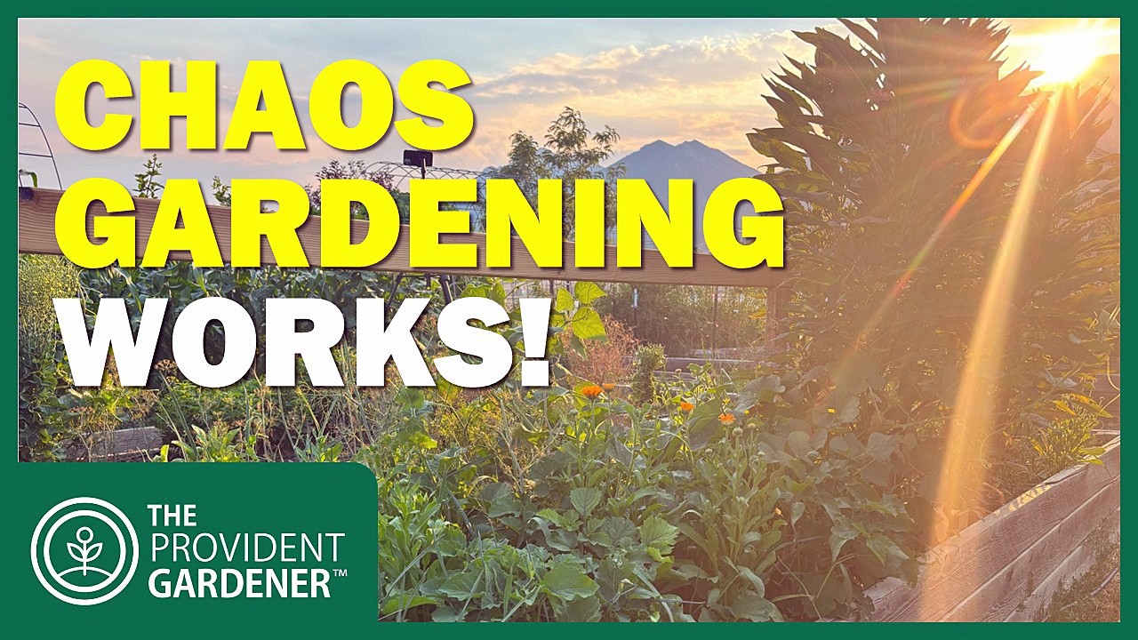 The "Lazy" Garden That Outproduces Everything Else