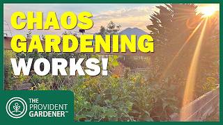 The "Lazy" Garden That Outproduces Everything Else