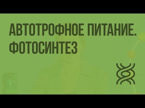 Автотрофное питание. Фотосинтез. Видеоурок по биологии 10 класс