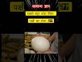 सबसे बड़ा अंडा किस पक्षी का होता है#gkshorts #birds #factshorts