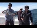 Sydney Reef Fishing for Mulloway, Kingfish, Flathead, Mahi Mahi & more