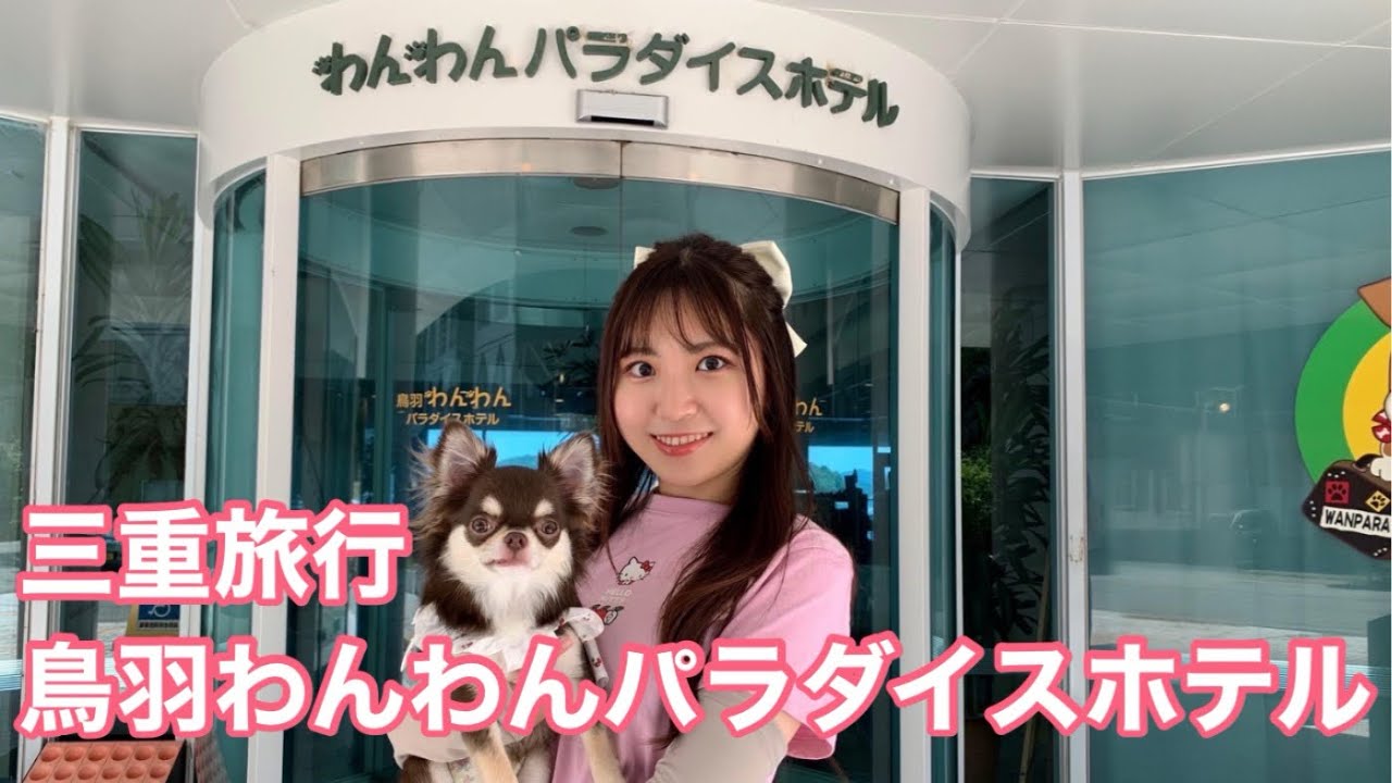 【鳥羽わんわんパラダイスホテル】チワワ3兄妹🐶ドッグランもプールも大満足！【三重旅行vlog】
