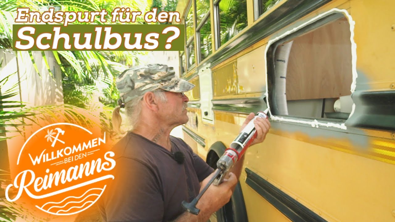 Fast vergessen! Was macht eigentlich der Schulbus-Camper?  | Willkommen bei den Reimanns