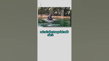 Vẻ đẹp tuyệt nhất, nằm trong ánh mắt của kẻ si tình