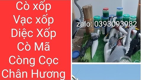 Cò Xốp, Cò Mã, Vạc Xốp, Diệc Xốp, Còng Cọc, Chân Hương, Cò Ngà, Vịt Trời, Nan Tre, Nan Cáp Quang