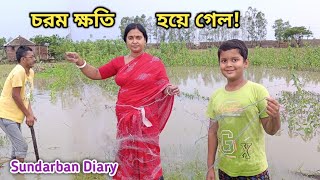 আজ দুপুরে প্রবল ঝড় বৃষ্টিতে আমাদের বড়ো ক্ষতি হয়ে গেল! Sundarban Diary