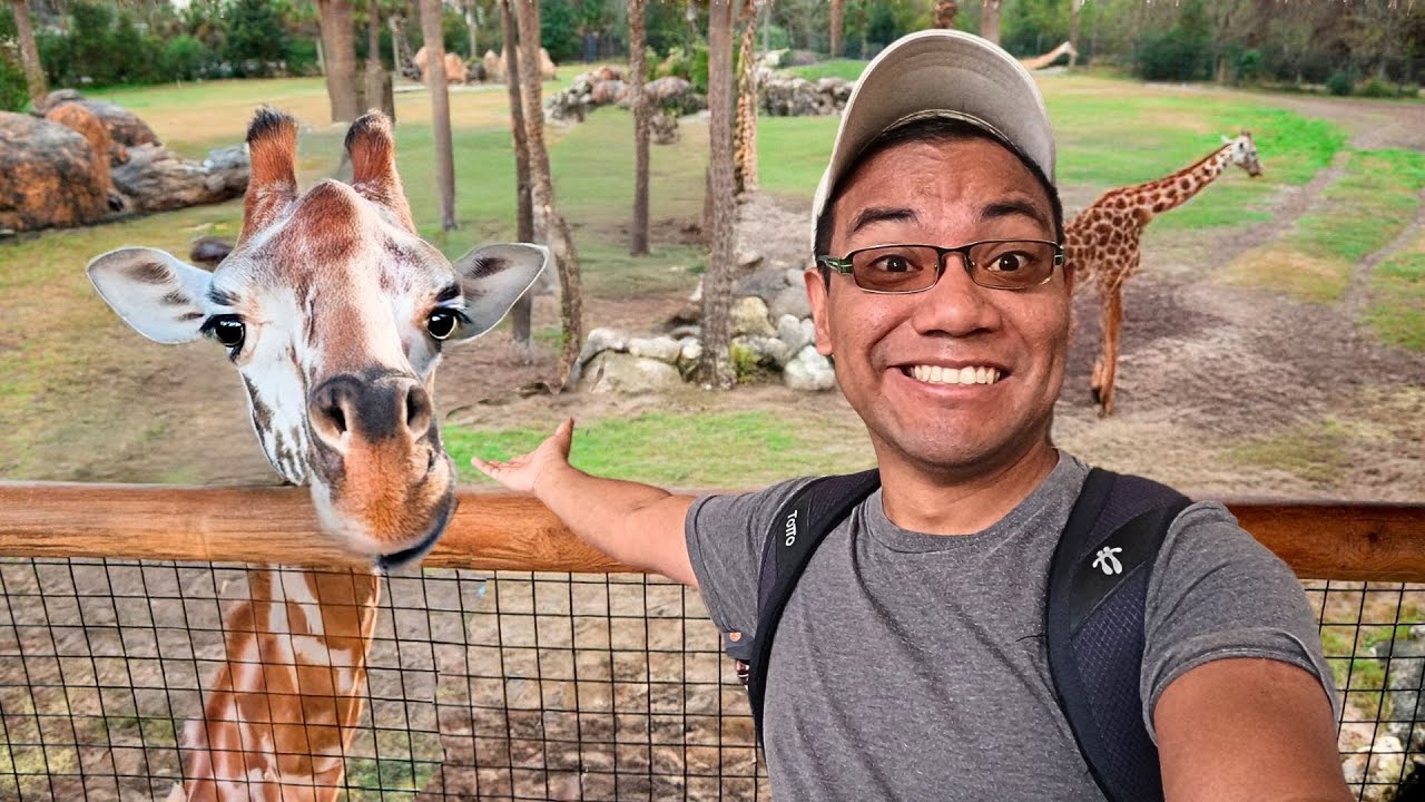 Asà es un SAFARI VIP en GUATEMALA 🇬🇹🦒 3 YouTube player