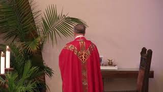 El Domingo de Pentecostes ~ Misa en Español ~ (5/24/2026)