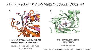 HDFにおけるα1-microglobulinの意義を読み解く_後半（医学編）_Kim Sung-Teh