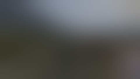 DayZ hackers are everywhere