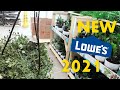 NEW Hanging Plants at Lowe’s Spring 2021! There Are So Many Amazing Finds!