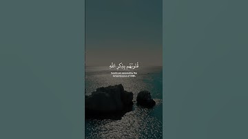 الذين امنوا وتطمئن قلوبهم بذكر من سورة الرعد بصوت عبدالرحمن مسعد تلاوة خاشعة تجعلك تدرك عظمة الله
