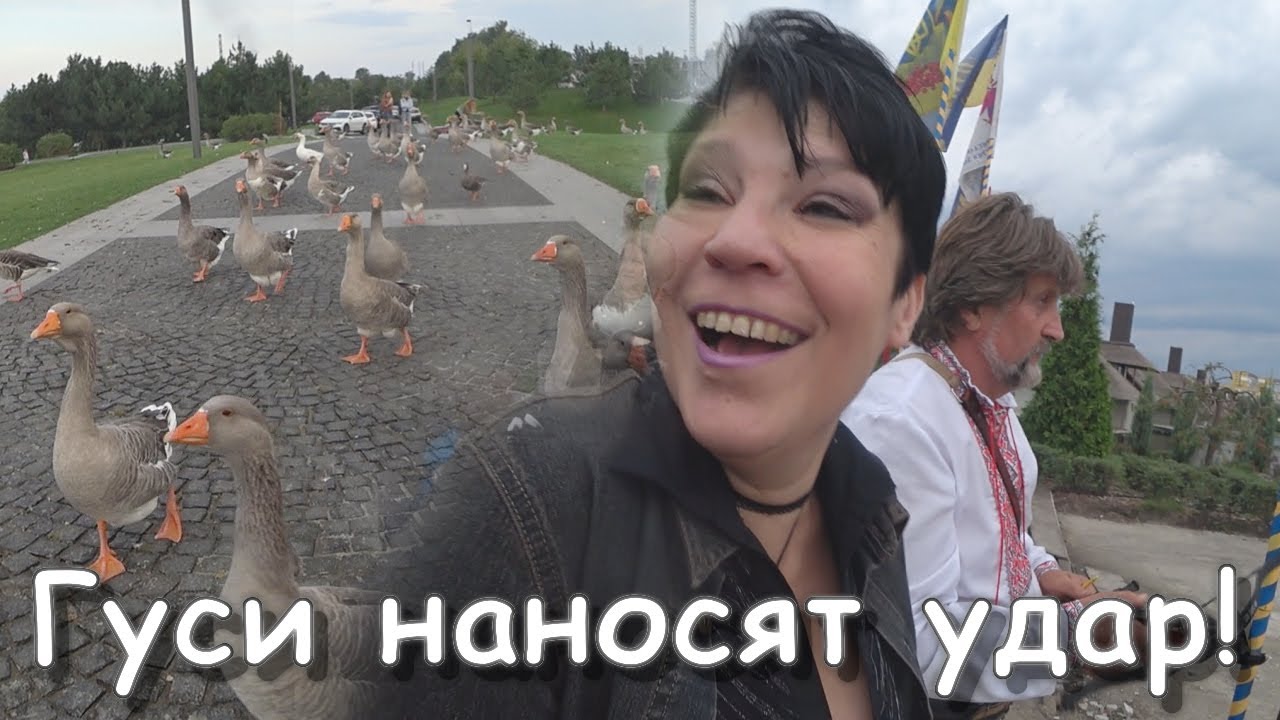 ГУСИ АТАКОВАЛИ СВЕТУ В ПАРКЕ СІЧ! - YouTube